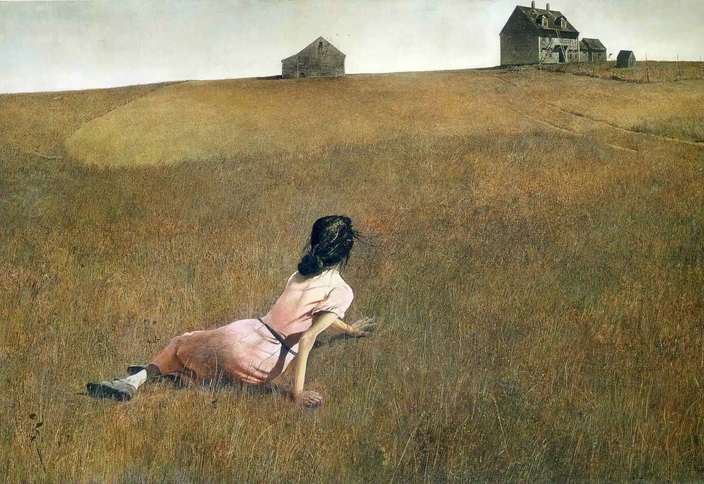 "Christina's World" by Andrew Wyeth depicts a young woman in a pink dress lying in a barren field, gazing toward a distant farmhouse under a vast, open sky.